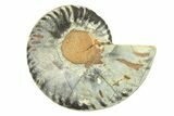 Cut & Polished Ammonite Fossil (Half) - Unusual Black Color #296302-1